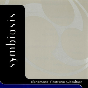 Clandestine Electronic Subculture