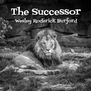 The Successor (Explicit)