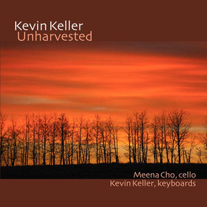 Sonata for Cello and Piano: Allegro agitato