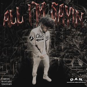 All im sayin (Explicit)