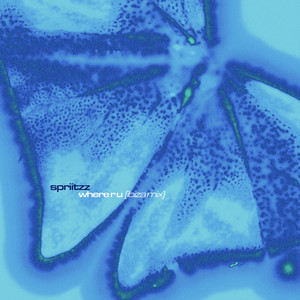 Where R U (Ibiza Mix)