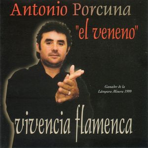 Vivencia flamenca