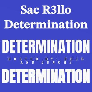 Determination (Explicit)