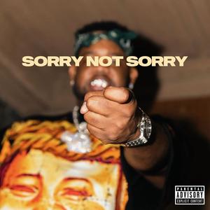 Sorry Not Sorry Freestyle (Explicit)