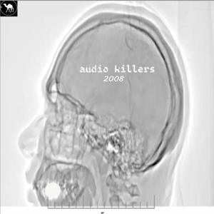 Audio Killers 2008 (feat. Fness & Novacaine) [Radio Edit] [Explicit]