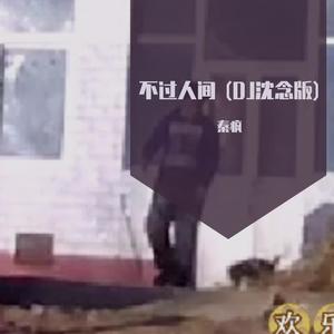 不过人间伴奏 (DJ沈念版)封面