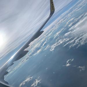 Fall Back (Explicit)