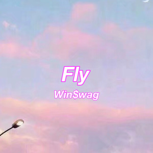 Fly