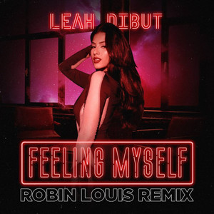 Feeling Myself (Robin Louis REMIX)