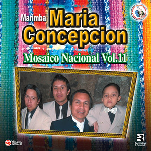 Mosaico Nacional Vol. 11. Música de Guatemala para los Latinos