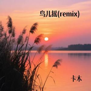 鸟儿摇 (Remix)