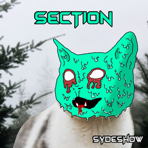 Section