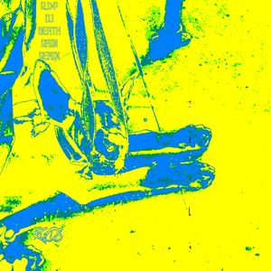 R.I.P. DJ ***** RAIN (Remix|Explicit)