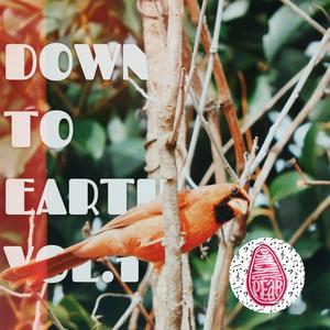 Down To Earth -, Vol. 1