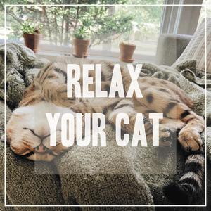Relax My Cat