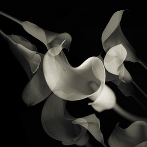 Minus & Ion (Ada Kaleh Edit)