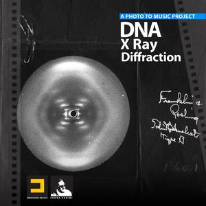 DNA X Ray Diffraction