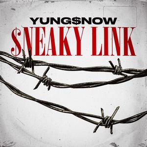 $neaky Link (Explicit)