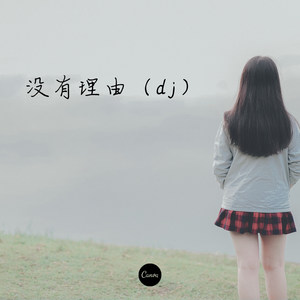 没有理由 (Remix)