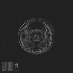 You Are the Placebo (Essentia Remix)