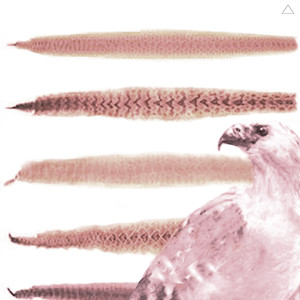 Ain't Worried Bout You