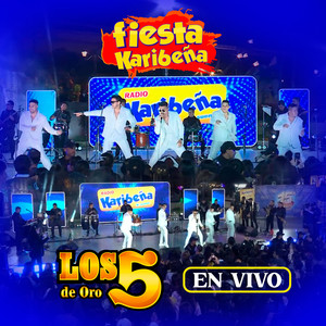 Mix 5 de Oro: Avecilla / Así Se Goza / Ya No Quiero Más Tu Amor (En Vivo)