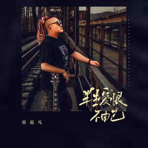 半生爱恨不由己封面