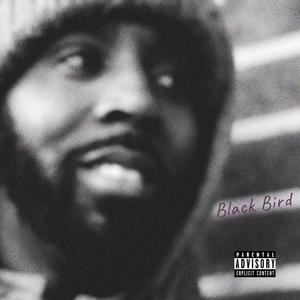 Black Bird (Explicit)