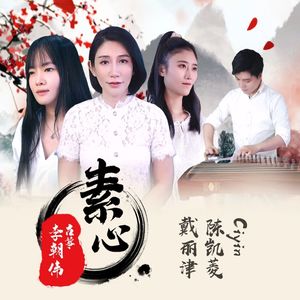 素心 (MMA)