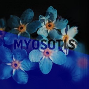 Myosotis (Christmas Algorithm Mix)