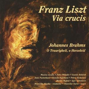 Via crucis s. 53 Station XII. Jesus dies on the Cross (organ, bass, soprano 1, soprano 2, Musica vocalis, conductor)