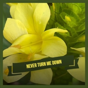 Never Turn Me Down