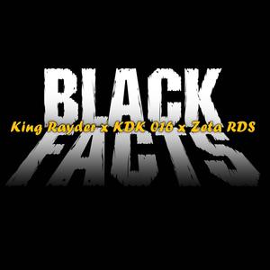 BLACK FACTS / RDS Vandals II (feat. Zeta RDS & KDK016) (Explicit)