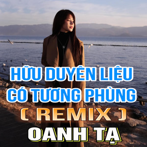 Hữu Duyên Liệu Có Tương Phùng (TTM Remix)