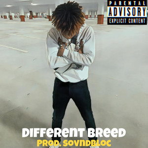 Different Breed (Explicit)