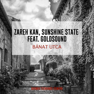 Bánat utca (Darwin Techhouse Rework)