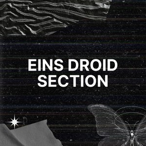 Eins Droid Section