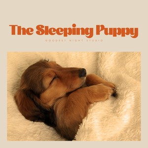 The Sleeping Puppy