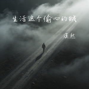 生活这个偷心的贼封面