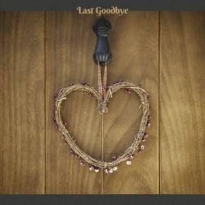 Last Goodbye