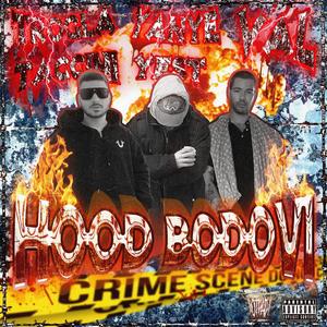 HOOD BODOVI (feat. TROGLA TACCINI & ¥AN¥€ ¥€$T) (Explicit)