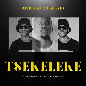 TSEKELEKE (feat. TriggaPablo & NawkSA)