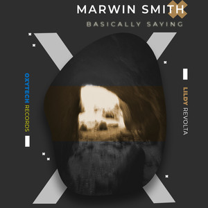 Basically Saying (LiLDy Remix)