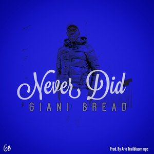 Never Did (Explicit)