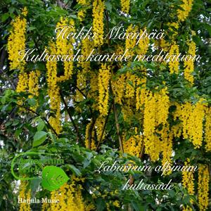 Kultasade kantele meditation -Laburnum alpinum (Radio Edit)