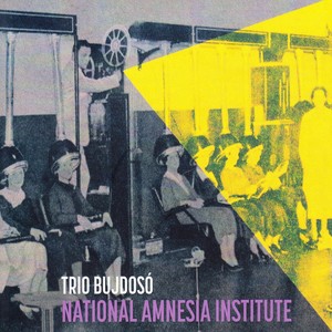 National Amnesia Institute