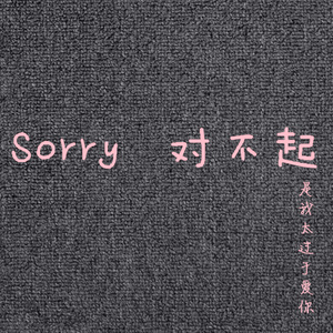 Sorry 对不起