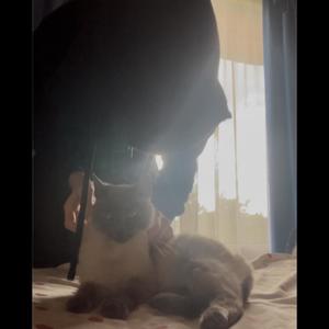 estoy justo aca (feat. yurei)