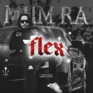 Flex (Explicit)