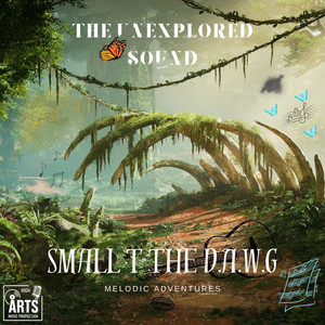 The Unexplored Sound